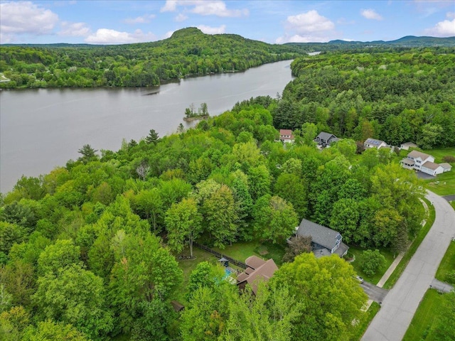 100 Maplewood Ave, Milton, VT 05468 - aerial view of a heavily wooded area and a nearby body of water