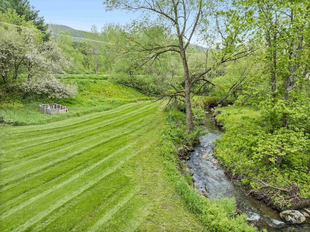 1572 Stowe Hollow Rd, Stowe, VT 05672 - view of yard