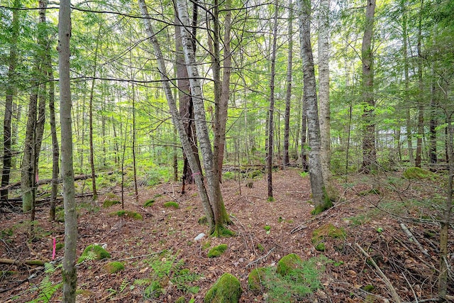 LOT104-15 Lost Valley Rd, Woodstock, NH 03262