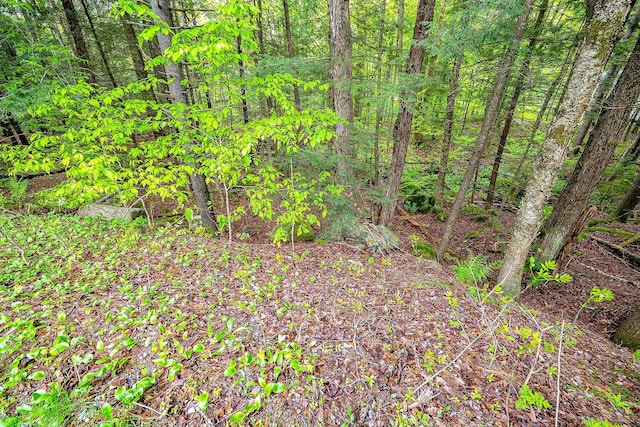 LOT104-15 Lost Valley Rd, Woodstock, NH 03262