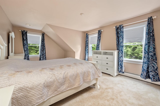 12 Drew Ln, Laconia, NH 03246 - bedroom featuring multiple windows and light carpet