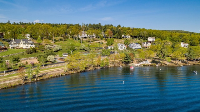 12 Drew Ln, Laconia, NH 03246 - water view with a forest