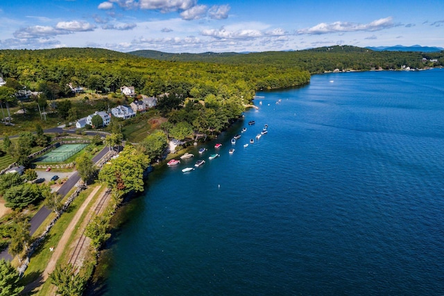 12 Drew Ln, Laconia, NH 03246 - aerial overview of property's location featuring a forest and a water and mountain view