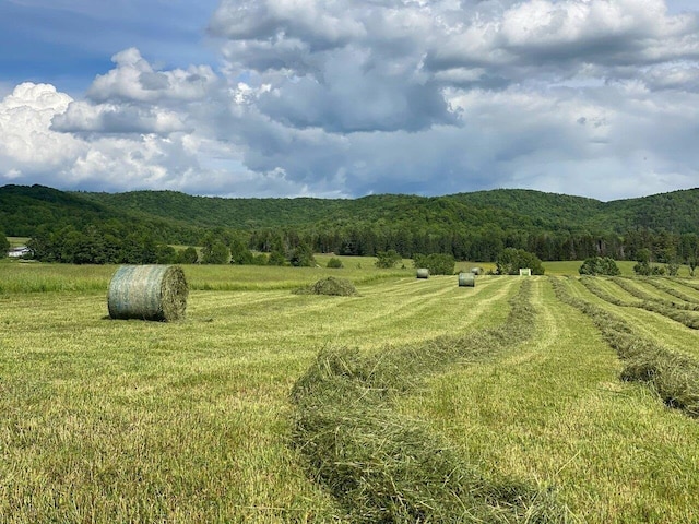 183 Morrie Rd, Washington, VT 05675 - view of mountain backdrop with rural landscape and a forest