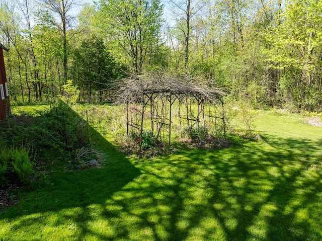 825 S End Rd, North Hero, VT 05457 - view of green lawn