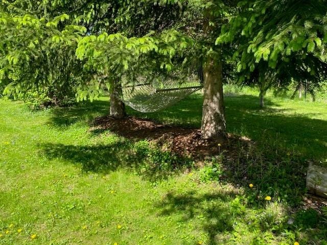 825 S End Rd, North Hero, VT 05457 - view of local wilderness