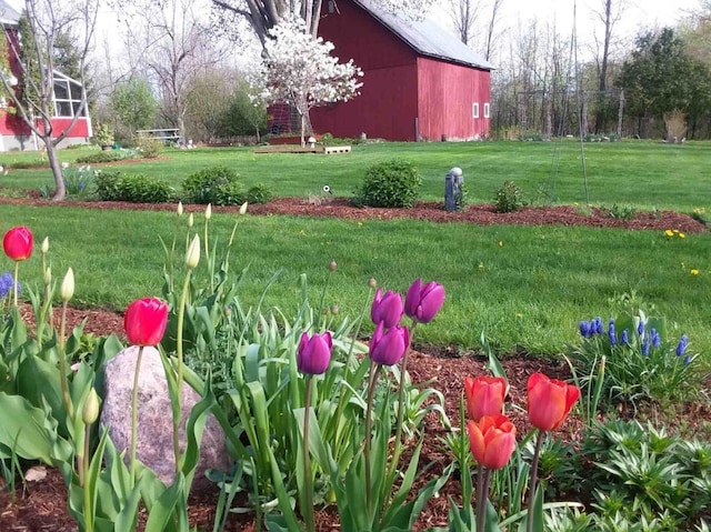 825 S End Rd, North Hero, VT 05457 - view of grassy yard featuring a barn and an outbuilding