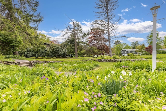 18 Riverdale Ave, Dover, NH 03820 - view of yard