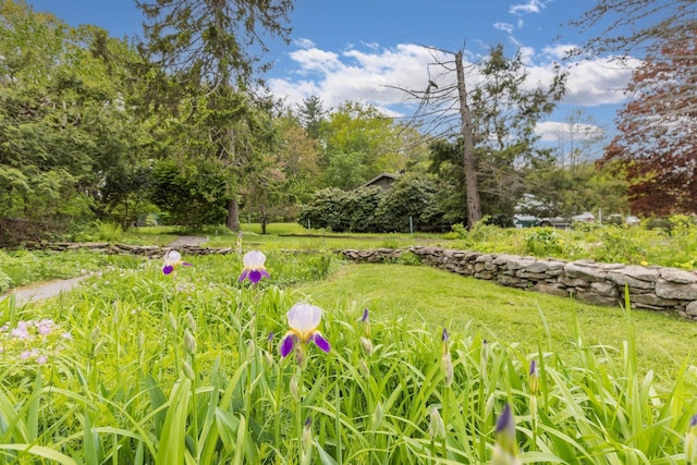 18 Riverdale Ave, Dover, NH 03820 - view of yard