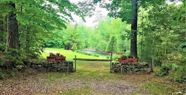113 Oak Ln Unit 113, Wakefield, NH 03830 - view of yard with a water view