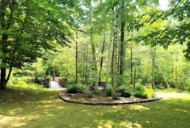 113 Oak Ln Unit 113, Wakefield, NH 03830 - view of green lawn with a view of trees