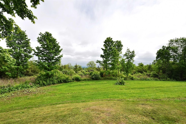 3900 Jersey St, Panton, VT 05491 - view of grassy yard featuring a wooded view