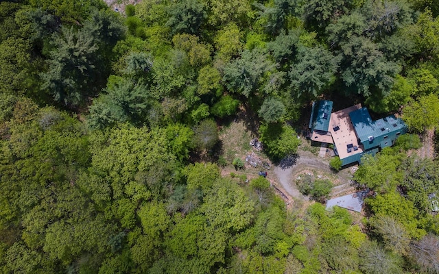 319 W Lake Rd, Fitzwilliam, NH 03447 - aerial overview of property's location with a heavily wooded area