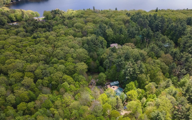 319 W Lake Rd, Fitzwilliam, NH 03447 - view of property location featuring a heavily wooded area and a nearby body of water