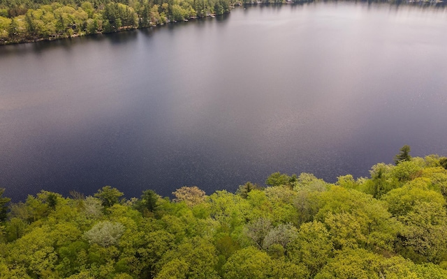 319 W Lake Rd, Fitzwilliam, NH 03447 - bird's eye view of a heavily wooded area and a nearby body of water