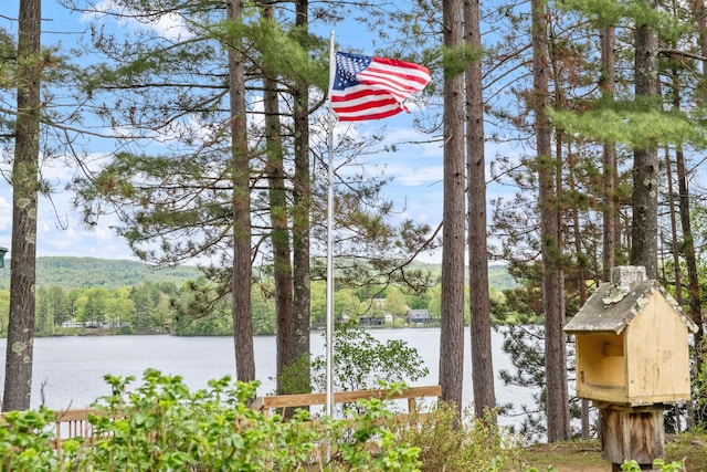 34 Winter Hill Ln, Andover, NH 03216 - water view with a heavily wooded area
