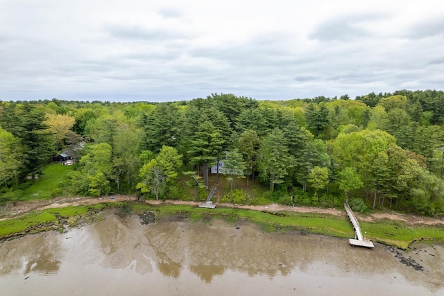 8 Wisteria Ln, Eliot, ME 03903 - bird's eye view of a heavily wooded area and a large body of water