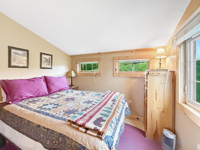 718 Reed Rd, Colebrook, NH 03576 - carpeted bedroom with multiple windows and vaulted ceiling