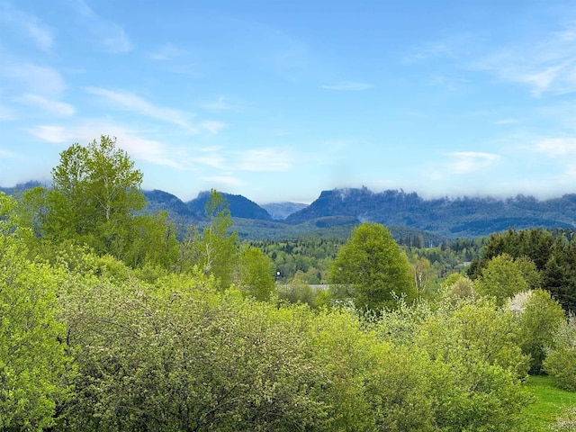 718 Reed Rd, Colebrook, NH 03576 - mountain view featuring a forest