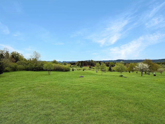718 Reed Rd, Colebrook, NH 03576 - view of green lawn