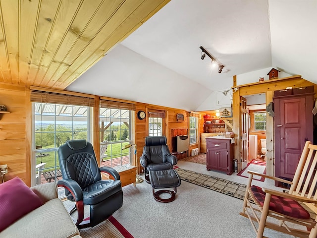 718 Reed Rd, Colebrook, NH 03576 - living room with vaulted ceiling, light colored carpet, wooden walls, and rail lighting
