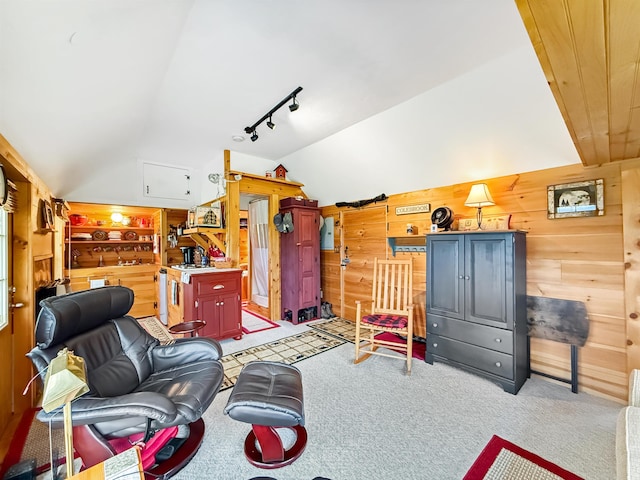 718 Reed Rd, Colebrook, NH 03576 - living room with lofted ceiling, wooden walls, light colored carpet, and track lighting