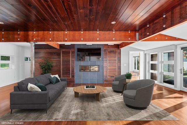 430 Clearwater Rd, Shelburne, VT 05482 - living area with wood finished floors, wooden ceiling, and a fireplace