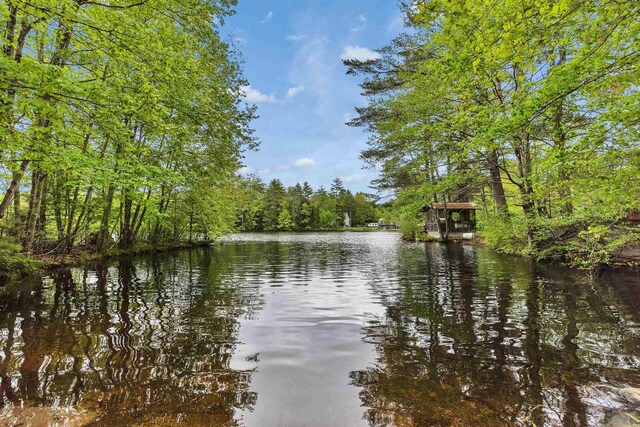 29 Centennial Dr, Webster, NH 03303 - water view featuring a heavily wooded area