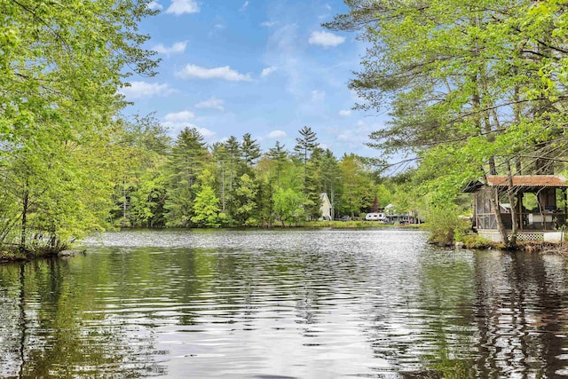 29 Centennial Dr, Webster, NH 03303 - water view featuring a forest