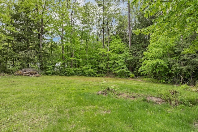 406 Lower Ridge Rd, Loudon, NH 03307 - view of yard