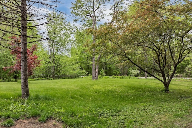 406 Lower Ridge Rd, Loudon, NH 03307 - view of yard