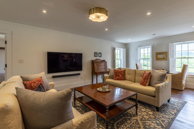1640 Three Maple Dr, Manchester, VT 05255 - living area featuring recessed lighting, wood finished floors, baseboards, and crown molding
