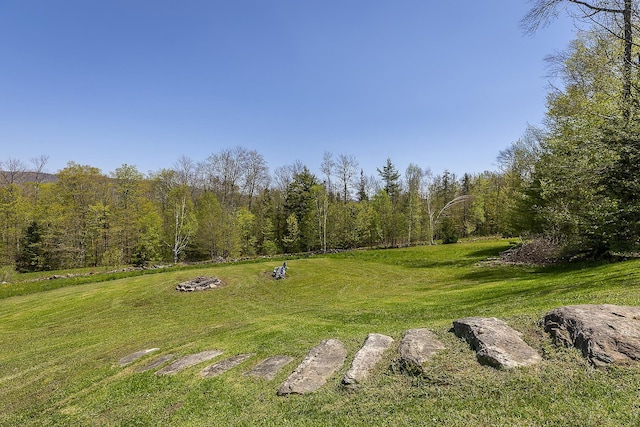 31 Highland View Rd, Weston, VT 05161 - view of grassy yard