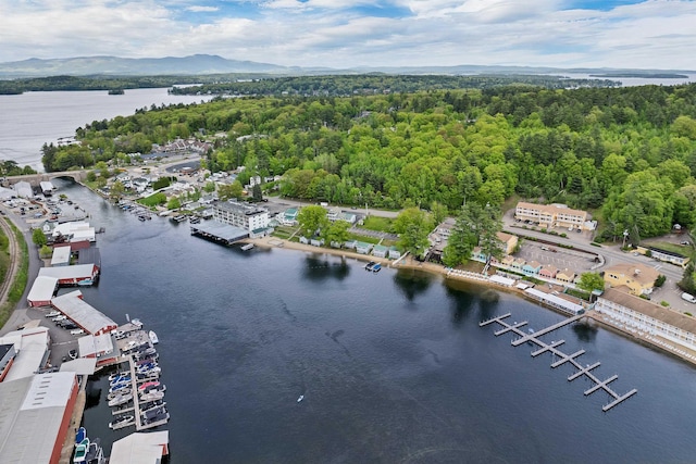 1144 Weirs Blvd Unit 20, Laconia, NH 03246 - drone / aerial view of a heavily wooded area and a large body of water