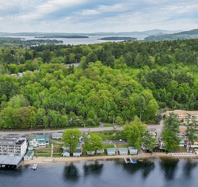 1144 Weirs Blvd Unit 20, Laconia, NH 03246 - drone / aerial view of a forest and a nearby body of water