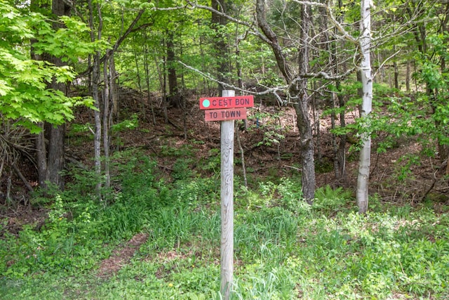 98 Vt Route 114, Burke, VT 05832