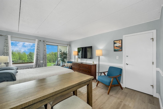 375 Endicott N St Unit 103, Laconia, NH 03246 - bedroom featuring light wood finished floors