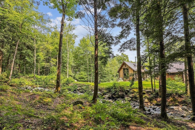 249 Falls Brook Ln, Stowe, VT 05672 - view of wooded area