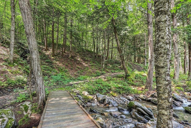 249 Falls Brook Ln, Stowe, VT 05672 - view of tree filled area