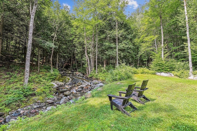 249 Falls Brook Ln, Stowe, VT 05672 - view of grassy yard featuring a view of trees