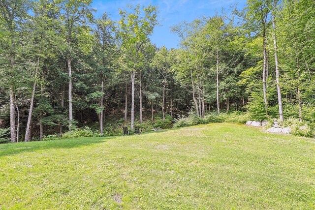 249 Falls Brook Ln, Stowe, VT 05672 - view of green lawn with a forest view