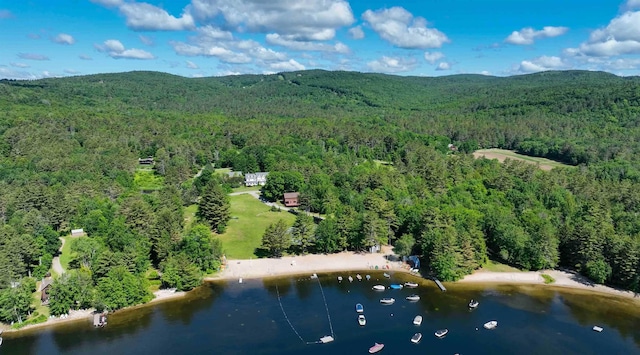 87 Deerpath Rd, New London, NH 03257 - view of property location featuring a forest and a water and mountain view