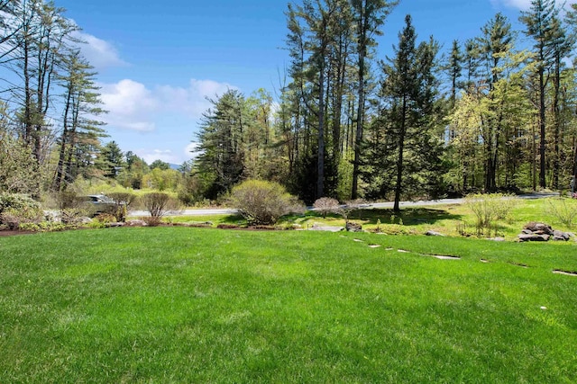 87 Deerpath Rd, New London, NH 03257 - view of green lawn