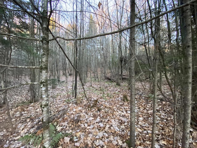 0 Washburn Rd, Burke, VT 05832