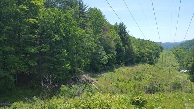 522 Justin Morrill Memorial Hwy, Strafford, VT 05072