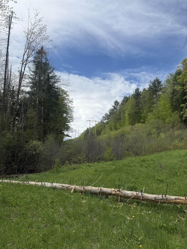 522 Justin Morrill Memorial Hwy, Strafford, VT 05072
