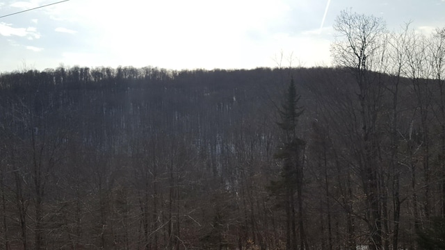 522 Justin Morrill Memorial Hwy, Strafford, VT 05072