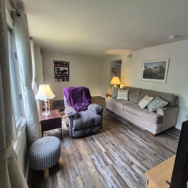 16 Oakwood Dr Unit 16, Claremont, NH 03743 - living area with wood finished floors, a textured ceiling, and baseboards