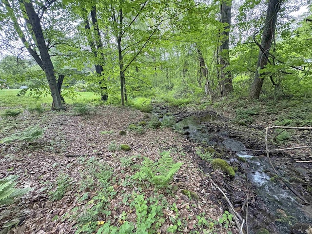 32 Christie Ln, Brattleboro, VT 05301 - view of nature
