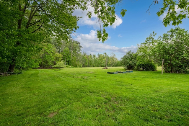 546 Salmon Falls Rd, Rochester, NH 03868 - view of grassy yard
